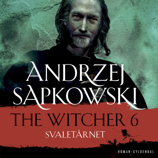 THE WITCHER 6, Andrzej Sapkowski