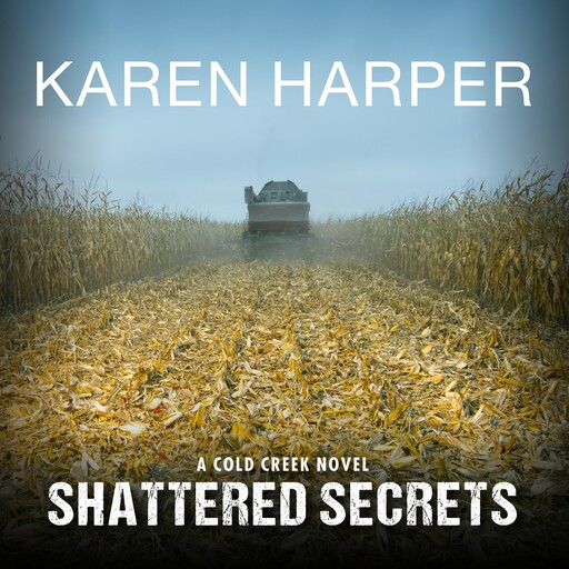 Shattered Secrets, Karen Harper