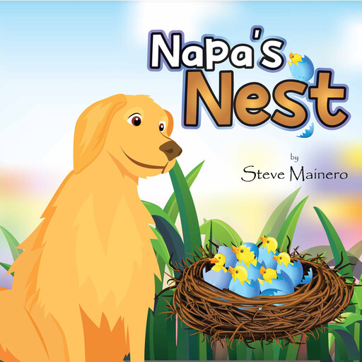 Napa's Nest, Steve Mainero