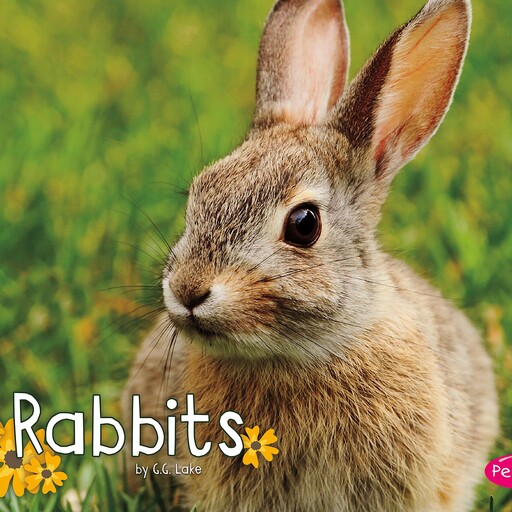 Rabbits, G.G. Lake