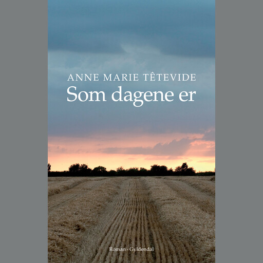 Som dagene er, Anne Marie Têtevide