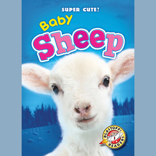 Baby Sheep, Christina Leaf