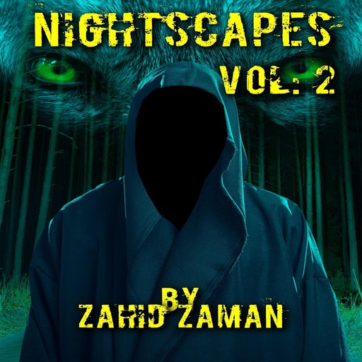 Nightscapes vol:2, Zahid Zaman