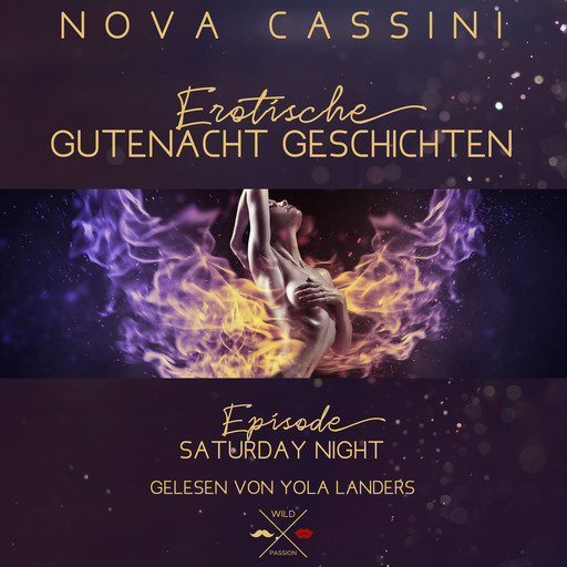 Saturday Night - Erotische Gutenacht Geschichten, Band 6 (ungekürzt), Nova Cassini