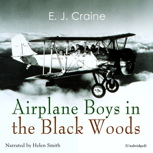 Airplane Boys in the Black Woods, E.J. Craine