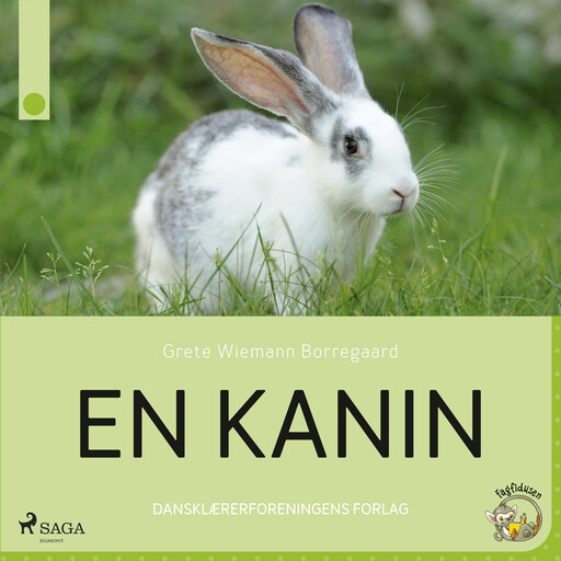En kanin, Grete Wiemann Borregaard
