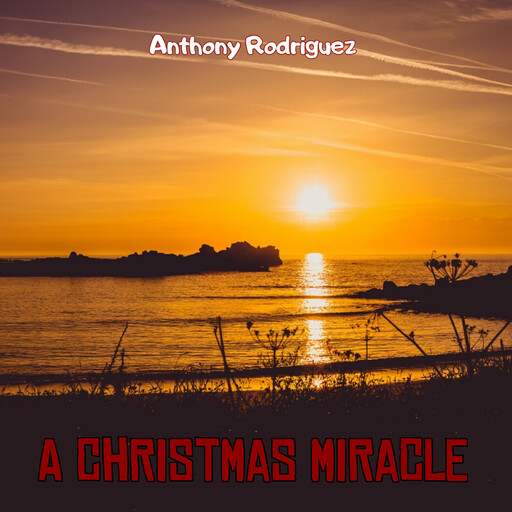 A Christmas Miracle, Anthony Rodriguez