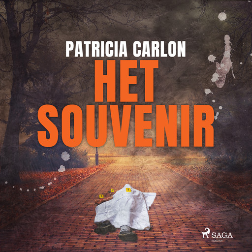 Het souvenir, Patricia Carlon