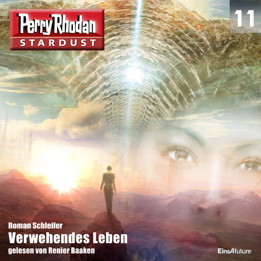 Stardust 11: Verwehendes Leben, Roman Schleifer