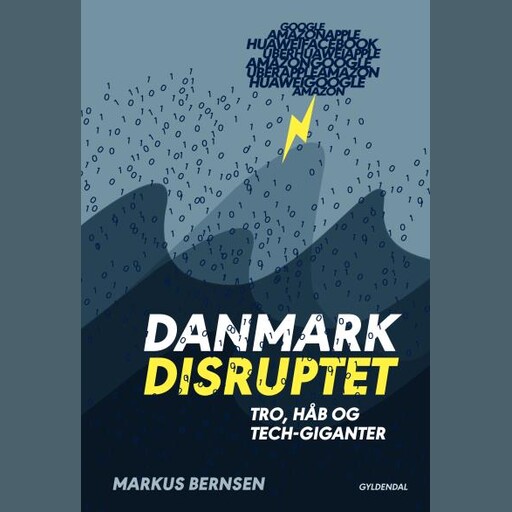 Danmark disruptet, Markus Bernsen