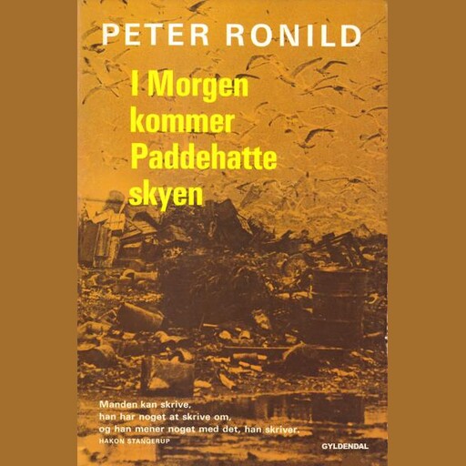 I morgen kommer paddehatteskyen, Peter Ronild