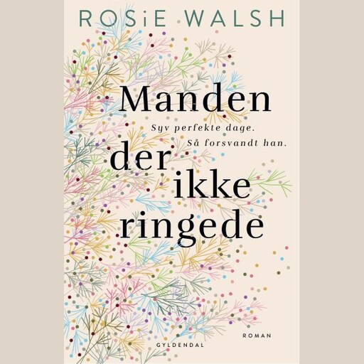 Manden der ikke ringede, Rosie Walsh
