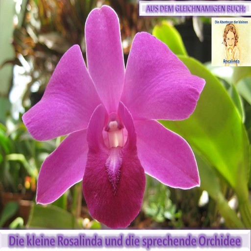 Rosalinda und die sprechende Orchidee, Monika Schuberth