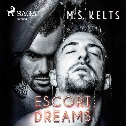 Escort Dreams (Dreams-Reihe): Gay Romance, M.S. Kelts