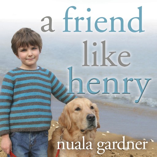 A Friend Like Henry, Nuala Gardner