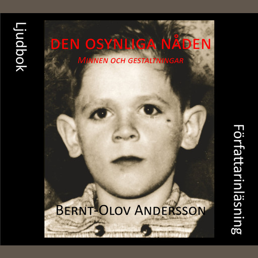Den osynliga nåden : minnen och gestaltningar ur mitt sociala arv, Bernt-Olov Andersson