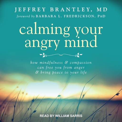 Calming Your Angry Mind, Jeffrey Brantley