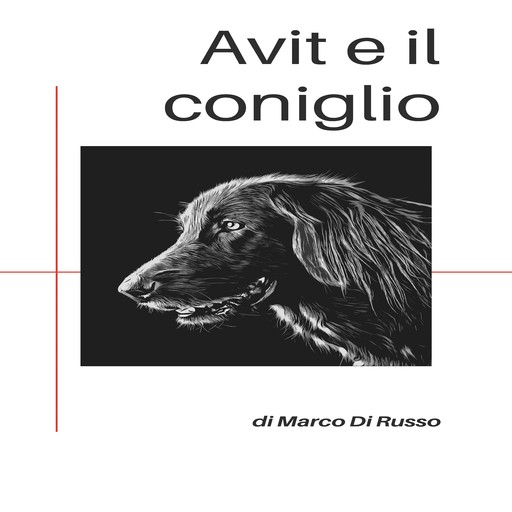 Avit e il coniglio, Marco Russo