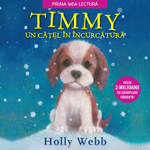 Timmy, un cățel în încurcătură, Holly Webb
