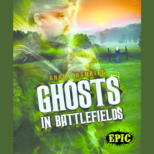 Ghosts in Battlefields, Lisa Owings