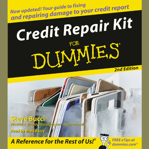 Credit Repair Kit for Dummies, Steve Bucci