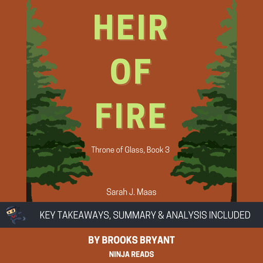 Summary: Heir of Fire, Brooks Bryant