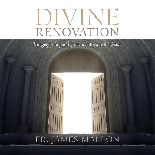 Divine Renovation, James Mallon