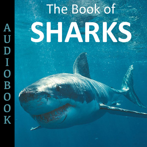 The Book of Sharks, My Ebook Publishing House