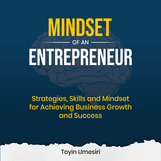 Mindset of an Entrepreneur, Toyin Umesiri