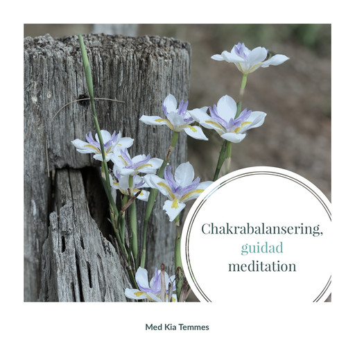 Chakrabalansering, en guidad meditation, Kia Temmes