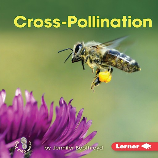 Cross-Pollination, Jennifer Boothroyd