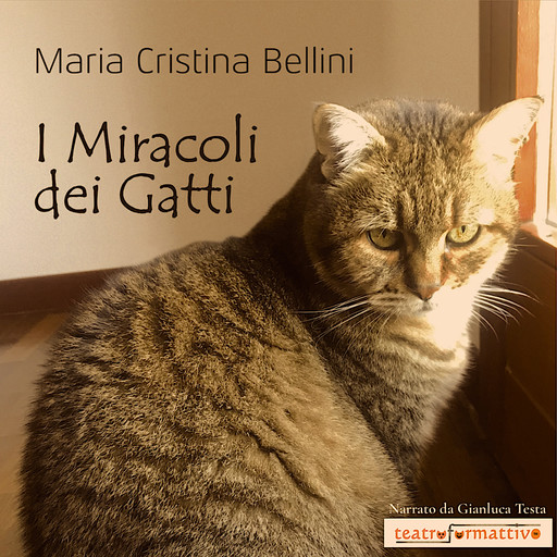 I miracoli dei gatti, Maria Cristina Bellini