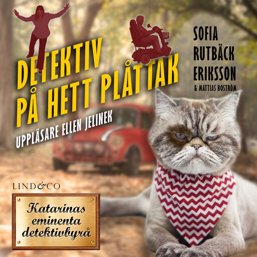 Detektiv på hett plåttak, Sofia Rutbäck Eriksson