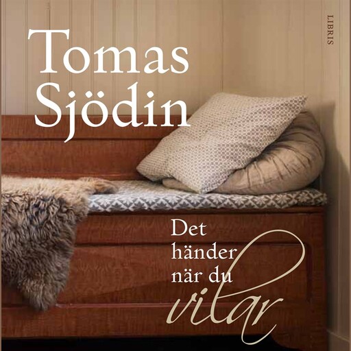 Det händer när du vilar, Tomas Sjödin