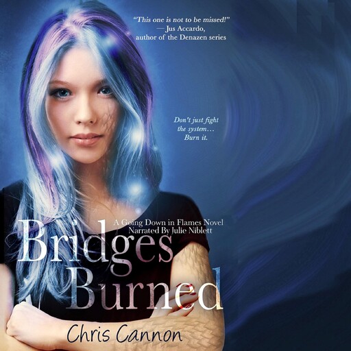 Bridges Burned, Chris Cannon