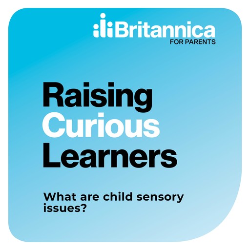 What are child sensory issues?, Ann Gadzikowski, Elizabeth Romanski