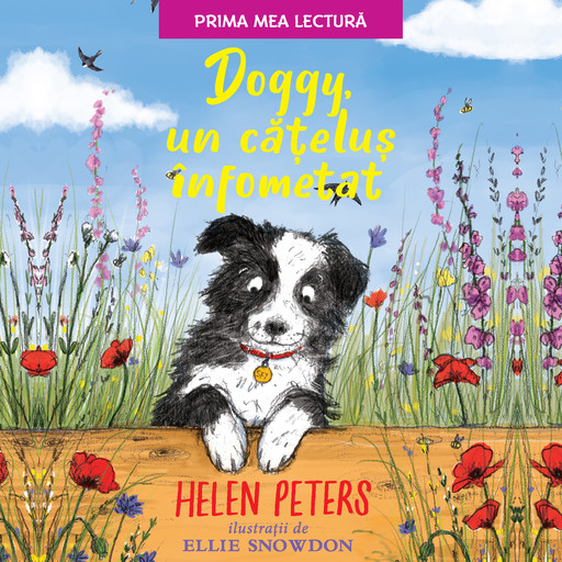 Doggy, un cățeluș înfometat, Helen Peters