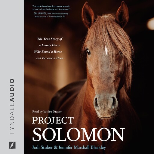Project Solomon, Jennifer Marshall Bleakley, Jodi Stuber