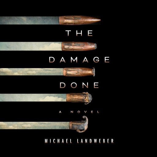 The Damage Done, Michael Landweber
