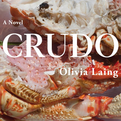 Crudo: Love in the Apocalypse, Olivia Laing