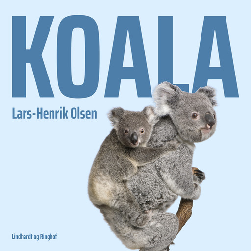 Koala, Lars-Henrik Olsen