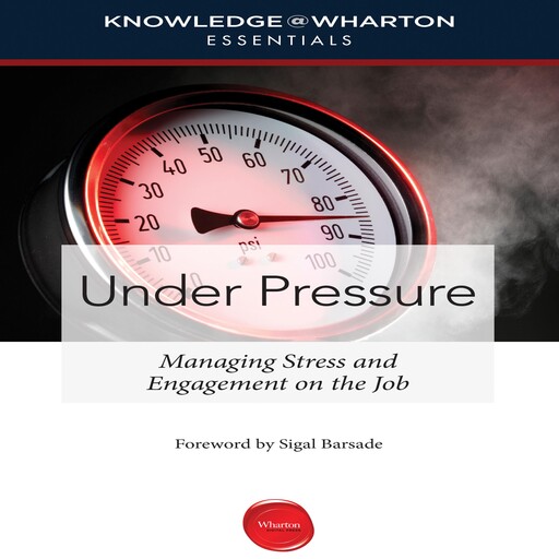 Under Pressure, Sigal Barsade