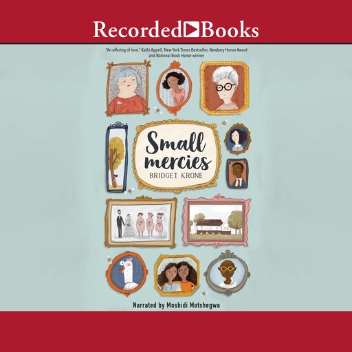 Small Mercies, Bridget Krone