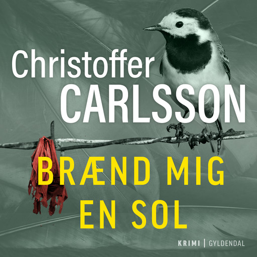 Brænd mig en sol, Christoffer Carlsson