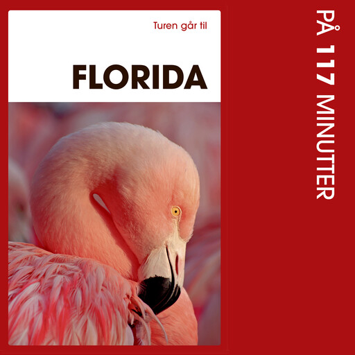 Turen går til Florida på 117 minutter, Morten Scholz