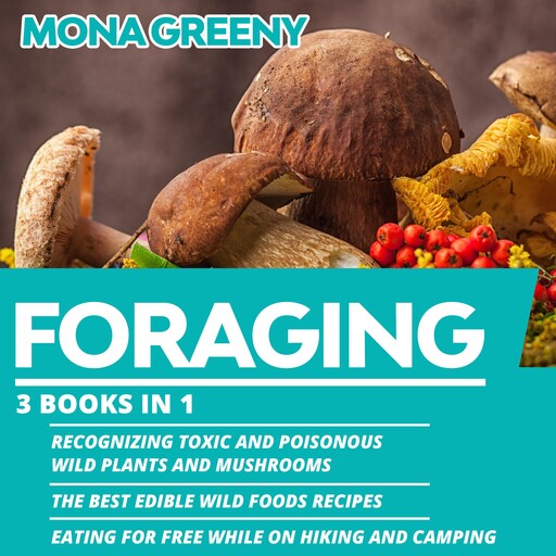Foraging, Mona Greeny