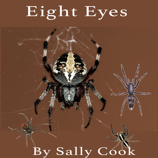 Eight Eyes, Sally Cook