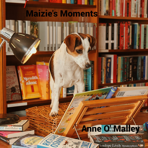 Maizie's Moments, Anne O'Malley