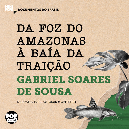 Da foz do Amazonas à Baía da Traição: Textos selecionados do livro Tratado Descritivo do Brasil, Gabriel Soares de Sousa