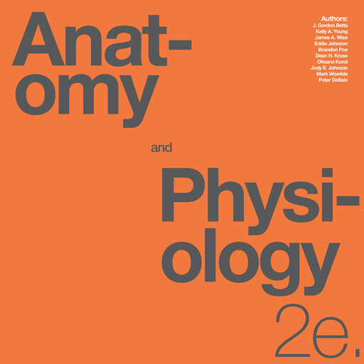Anatomy and Physiology 2e, Kelly Young, James Wise, J. Gordon Betts, Eddie Johnson, Brandon Poe, Dean H. Kruse, Oksana Korol, Jody E. Johnson, Mark Womble, Peter DeSaix